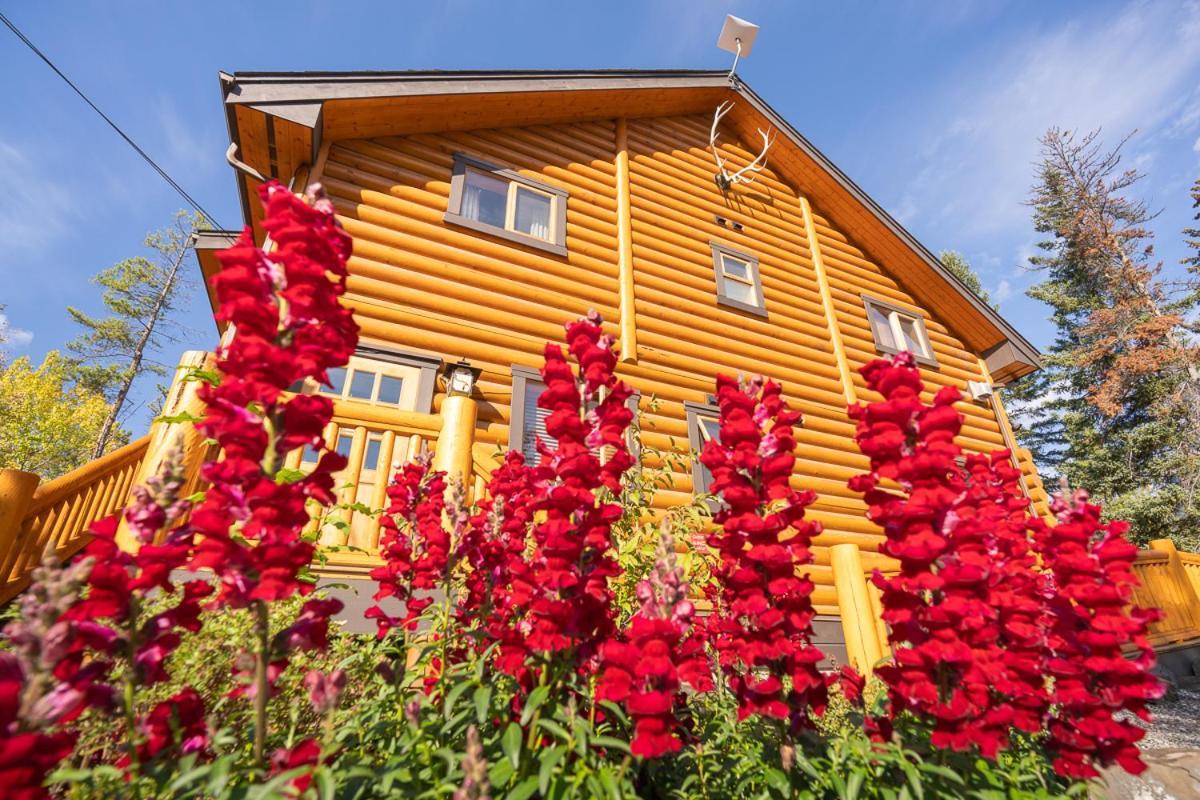Castle Mountain Chalets Eksteriør bilde